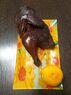 Половинка курицы